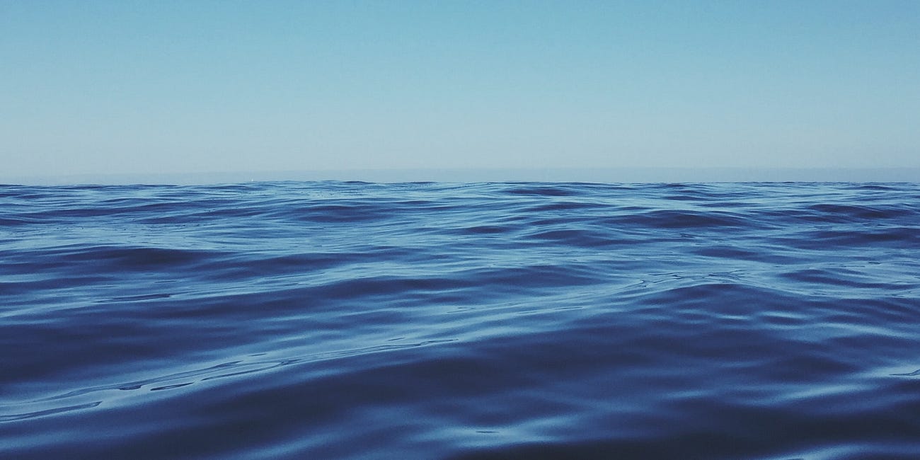 The Sound Of The Big Blue Whale