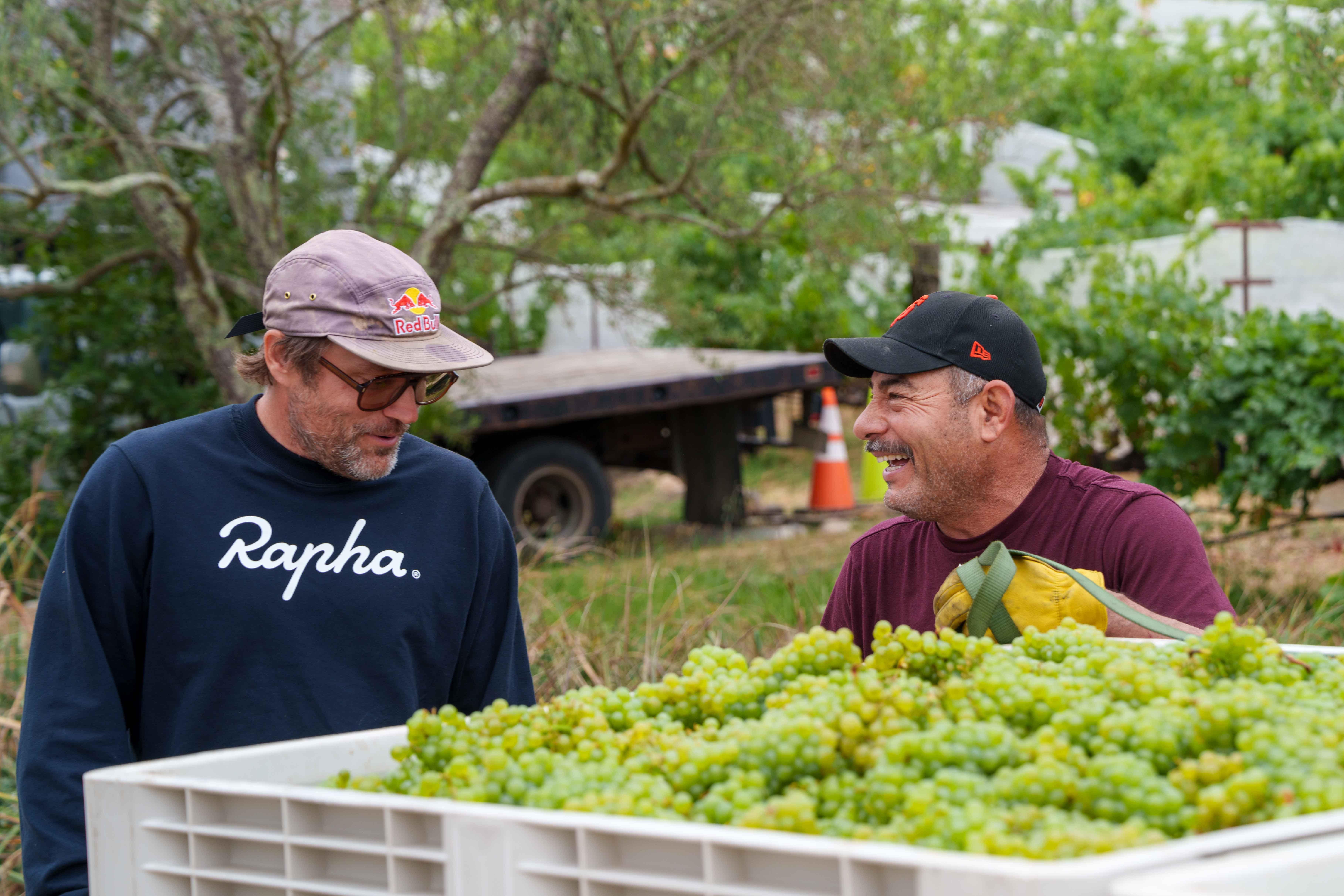 Off to the Races: Napa Valley's 2025 Harvest Begins