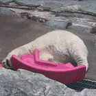 Manly And Swole. Tabs, Fri., Aug. 14, 2026