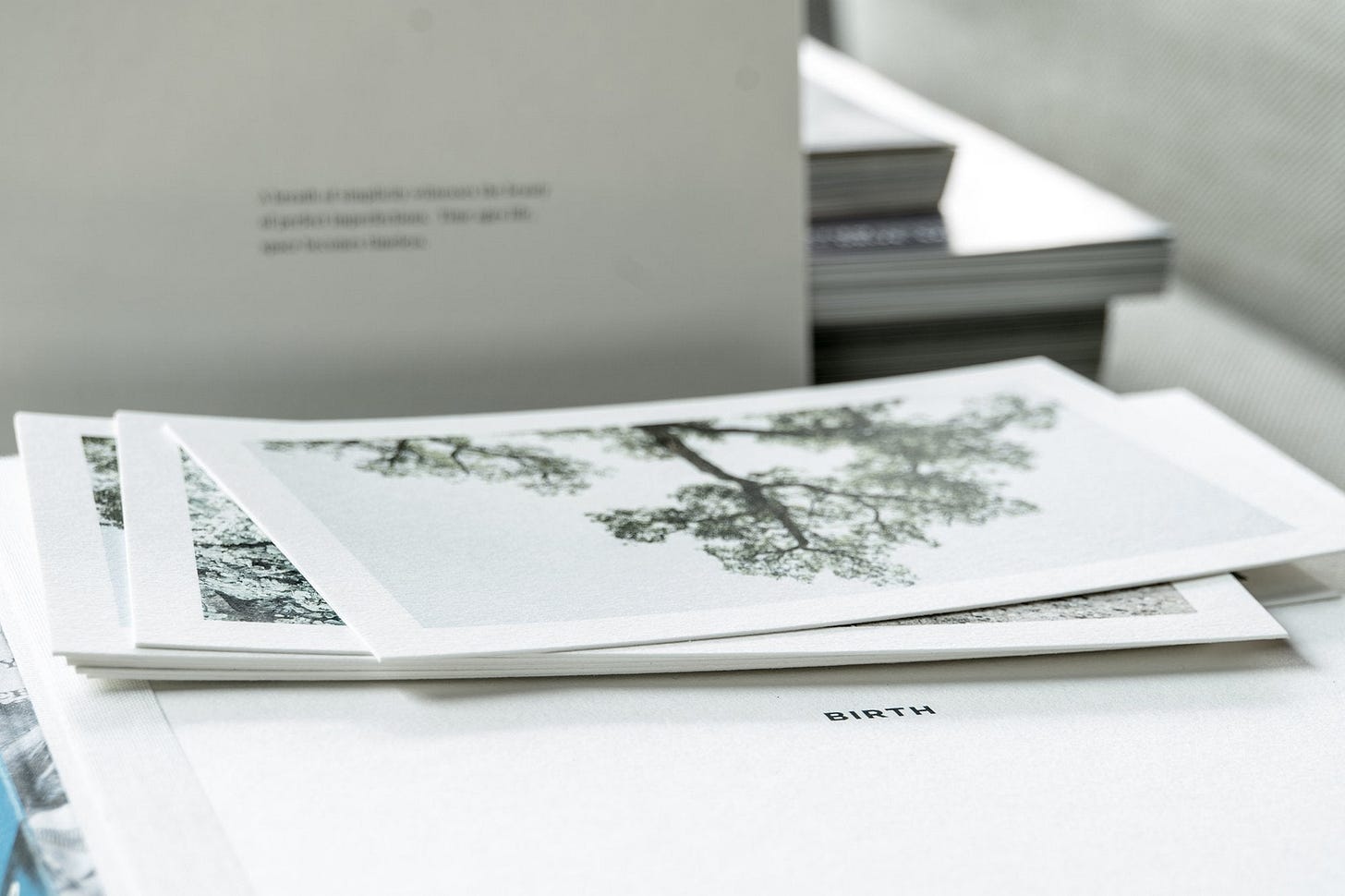 Birth Collection Birth Collection