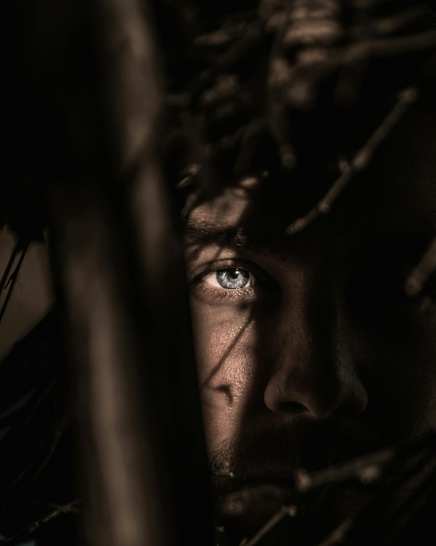 Persons Eye Persons Eye