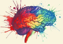 New Neurons Continue to Form in Adult ...