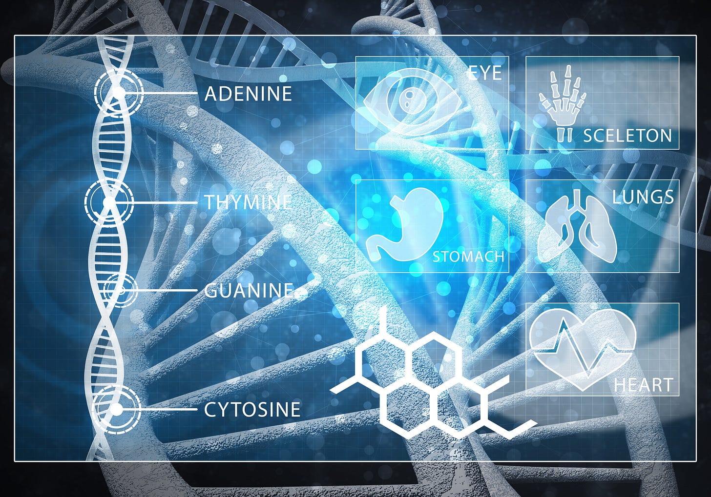 Image of DNA double helix digital concept