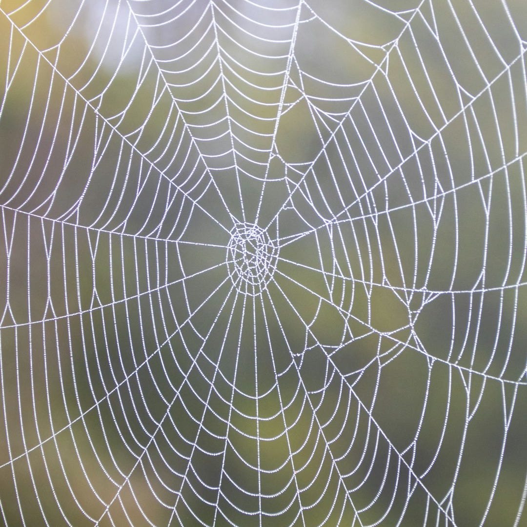 a close up of a spider web on a window a close up of a spider web on a window