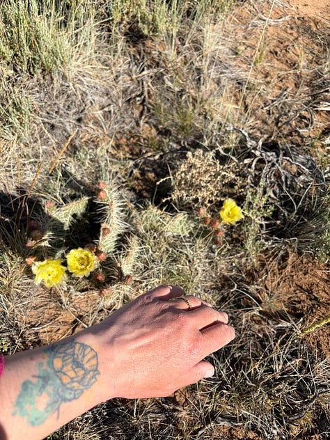 Images of the author’s time hiking, horseback riding, camping, fihsing, etc. in and around Laramie, WY