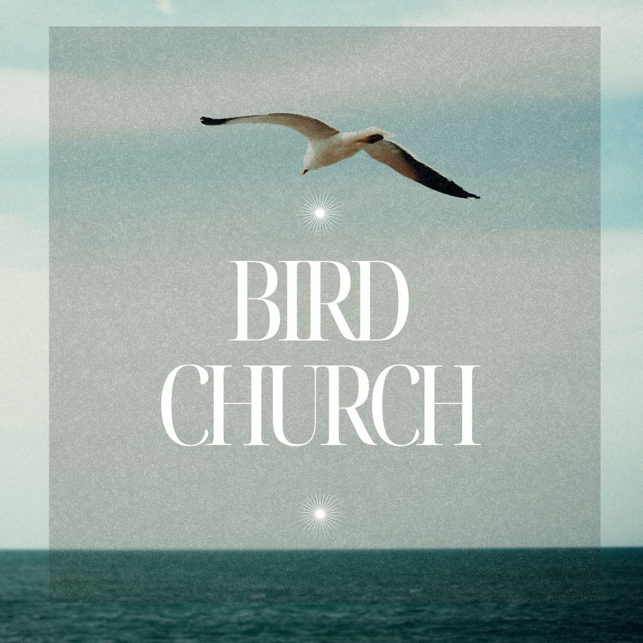 Bird Church