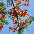 MUSINGS #3: ANOTHER LAYER