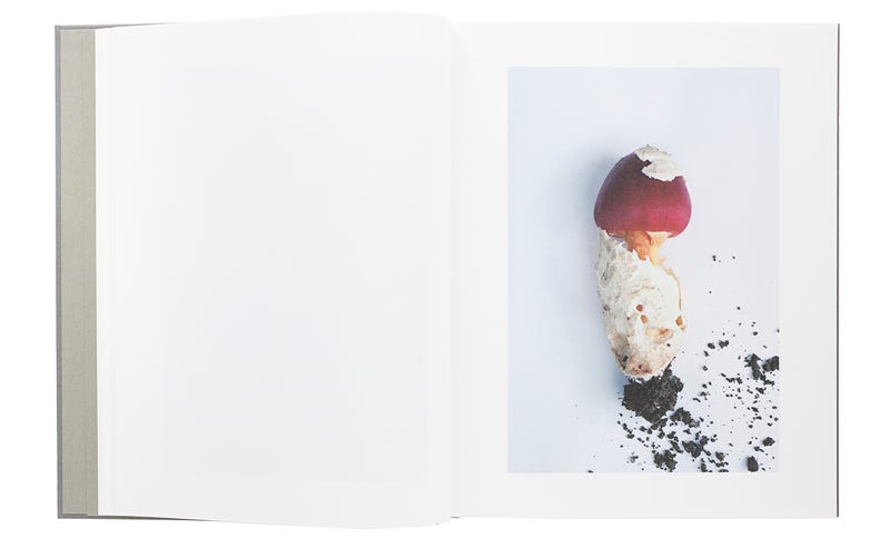 Art Direction Source Material: Takashi Homma - by Kimberly