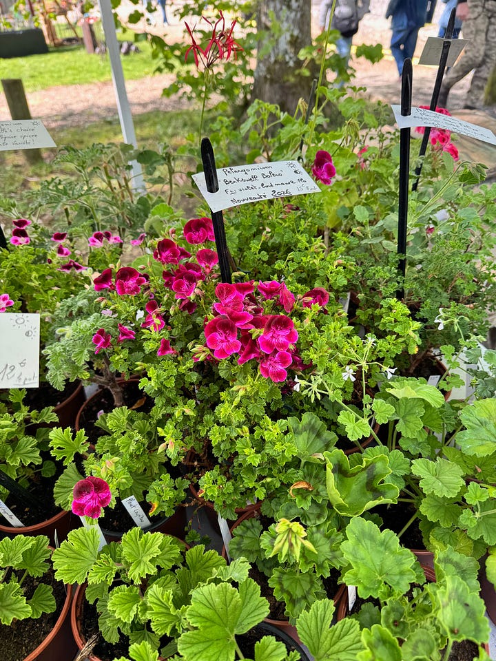 French plant fair