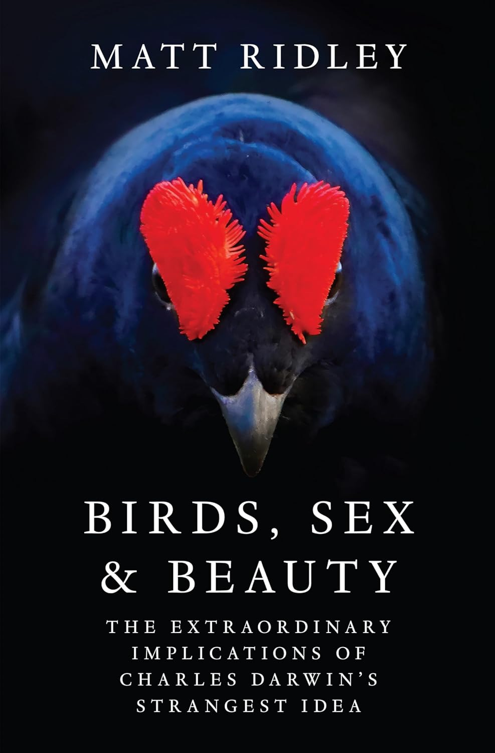 Book cover showing a bird with bright red facial features on a dark background, titled "Birds, Sex & Beauty" by Matt Ridley. Subheading discusses Darwin’s ideas.