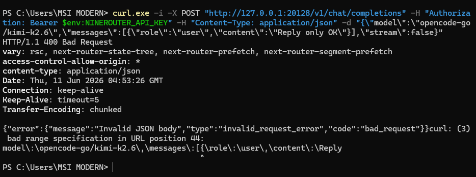 Curl response showing a failed chat completion request through the local router. Curl response showing a failed chat completion request through the local router.