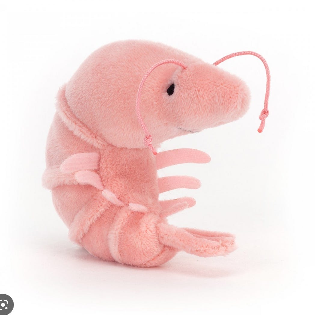 Shrimp Feelings