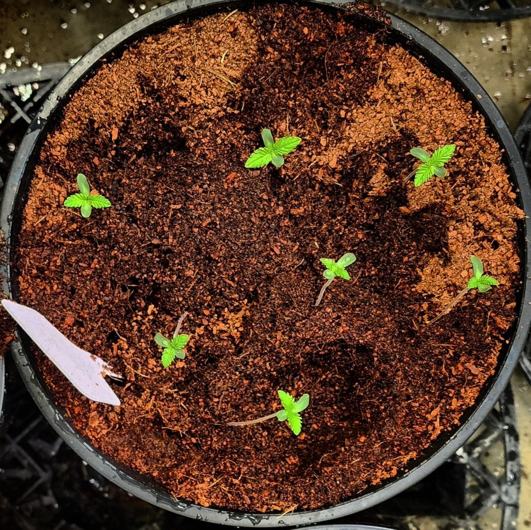 No photo description available.