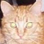 Ted Russ's avatar