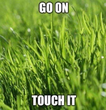 touch grass | Really funny memes, Funny memes, Cute memes