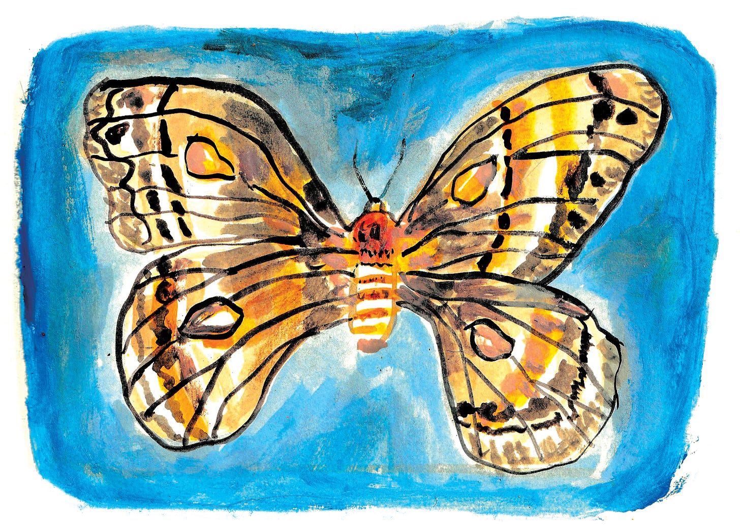 watercolor moth by Beth Spencer
