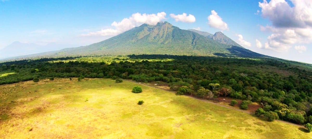 Baluran National Park - Indonesia Travel