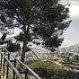Avraham's avatar