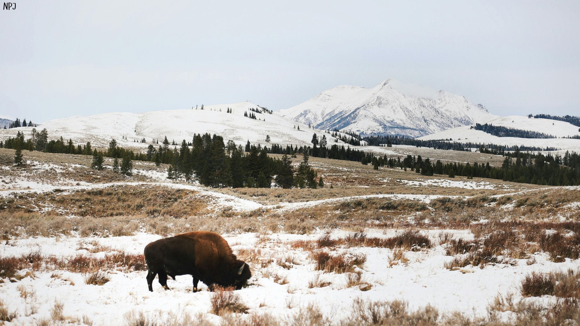 Five National Parks Worth Freezing For