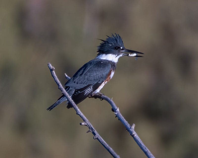 20251017-misc-138-Edit 2.jpg