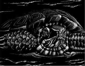 painted turtle from all creation waits