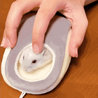 Rock Me. Tabs, Wed., Oct. 9, 2024