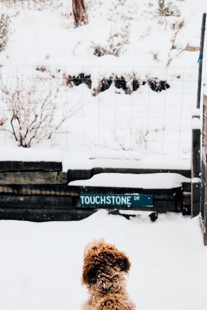 Tyler Knott Gregson fuji photographs of life in Helena, MT