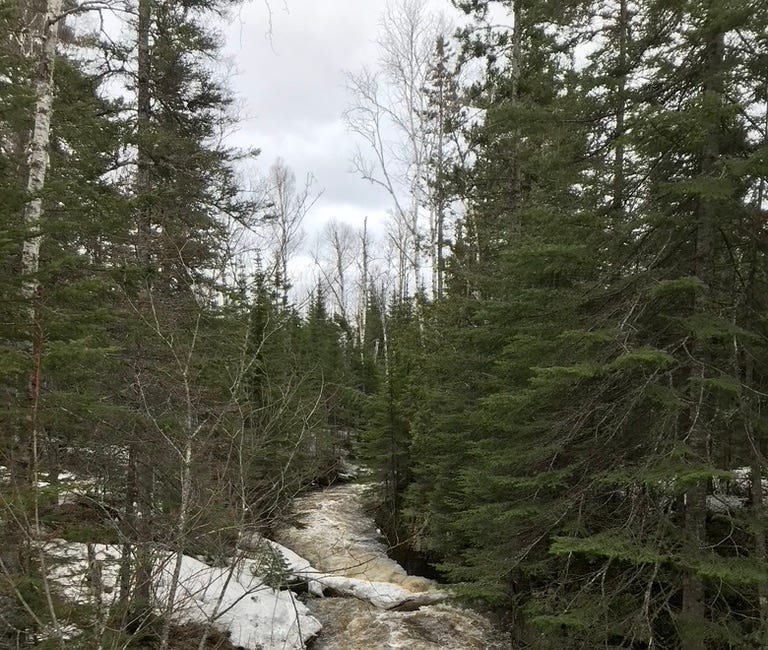 The river of time