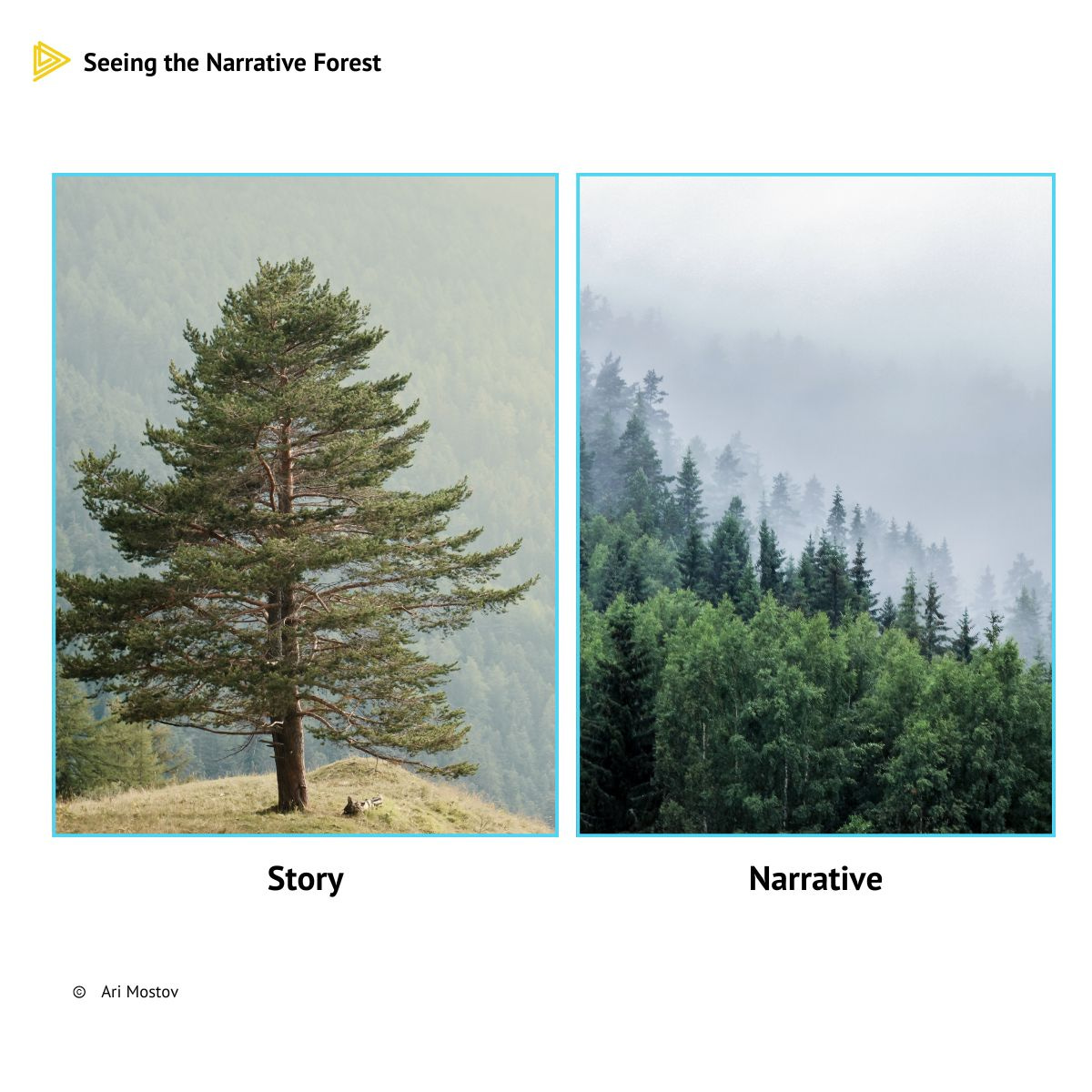 No alternative text description for this image