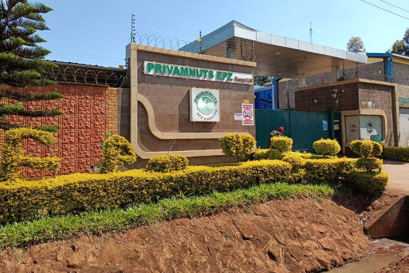 Privamnuts's factory. Privamnuts's factory.