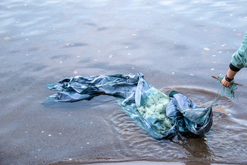 River Oracle — ANNE-LAURE FRANCHETTE