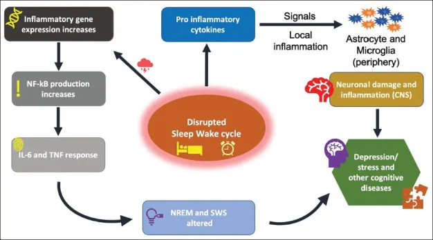 Sleep Tips Don’t Work