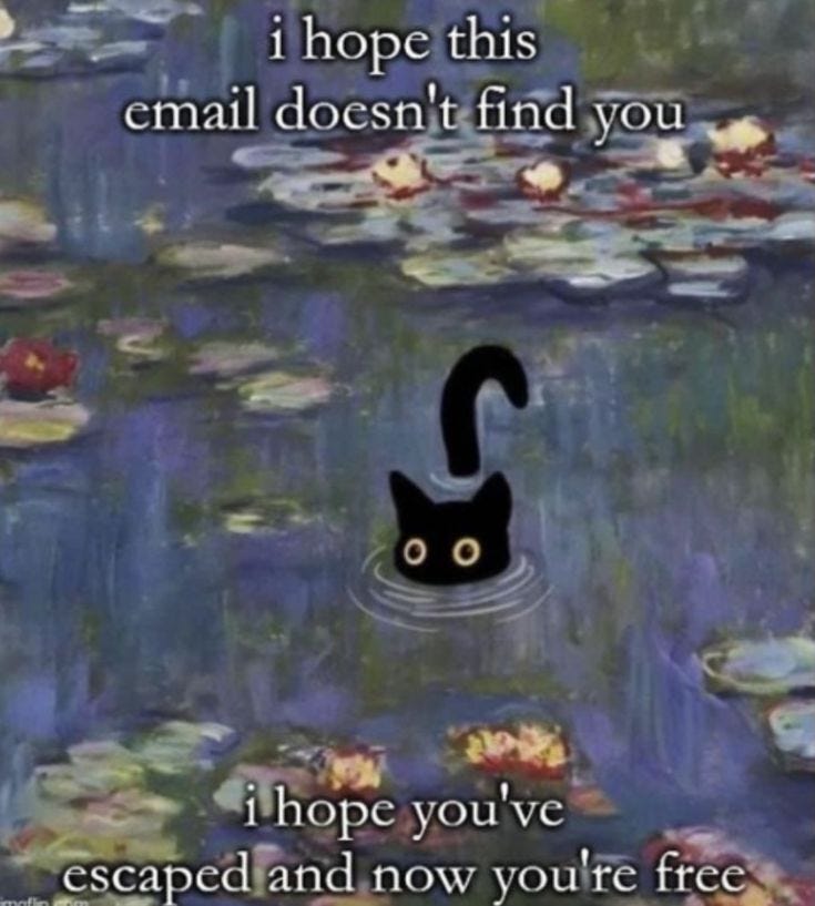 This may contain: a black cat floating on top of water lilies with the caption, i hope this email doesn't find you