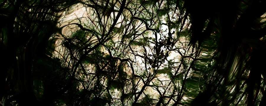 AI-rendered abstract image reminiscent of dense foliage. Still from “World Without End” by Tim Murray-Browne. AI-rendered abstract image reminiscent of dense foliage. Still from “World Without End” by Tim Murray-Browne.