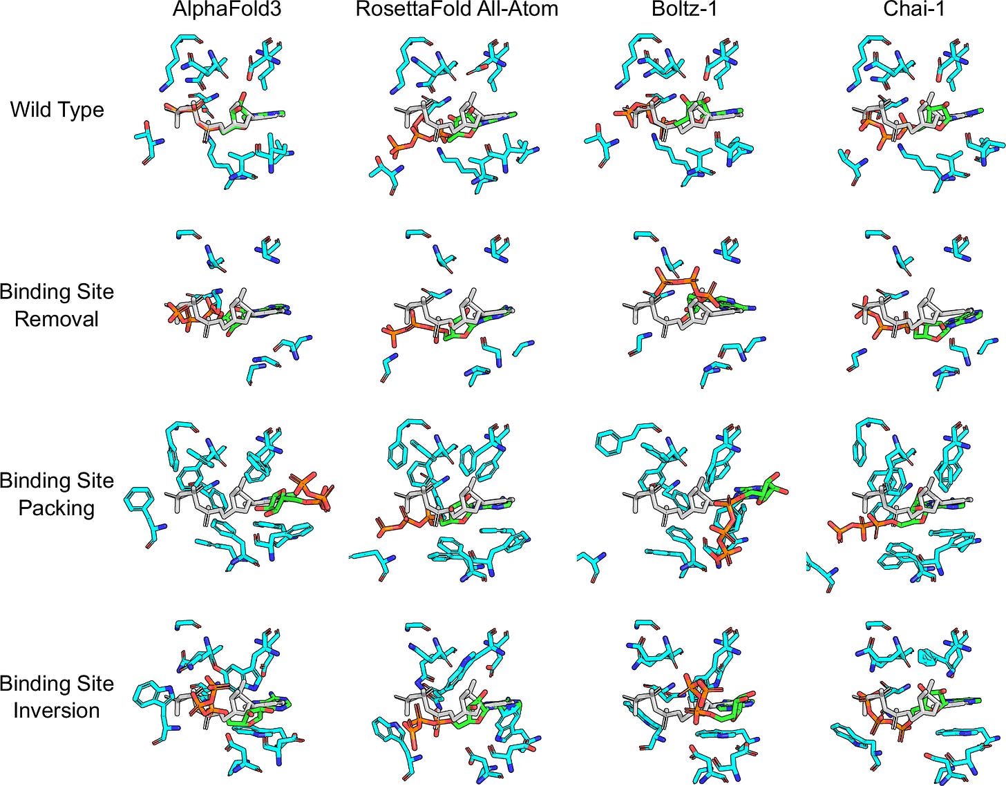 Fig. 1: Binding site mutagenesis challenges against co-folding models using the CDK2 system (PDB: 1B38).