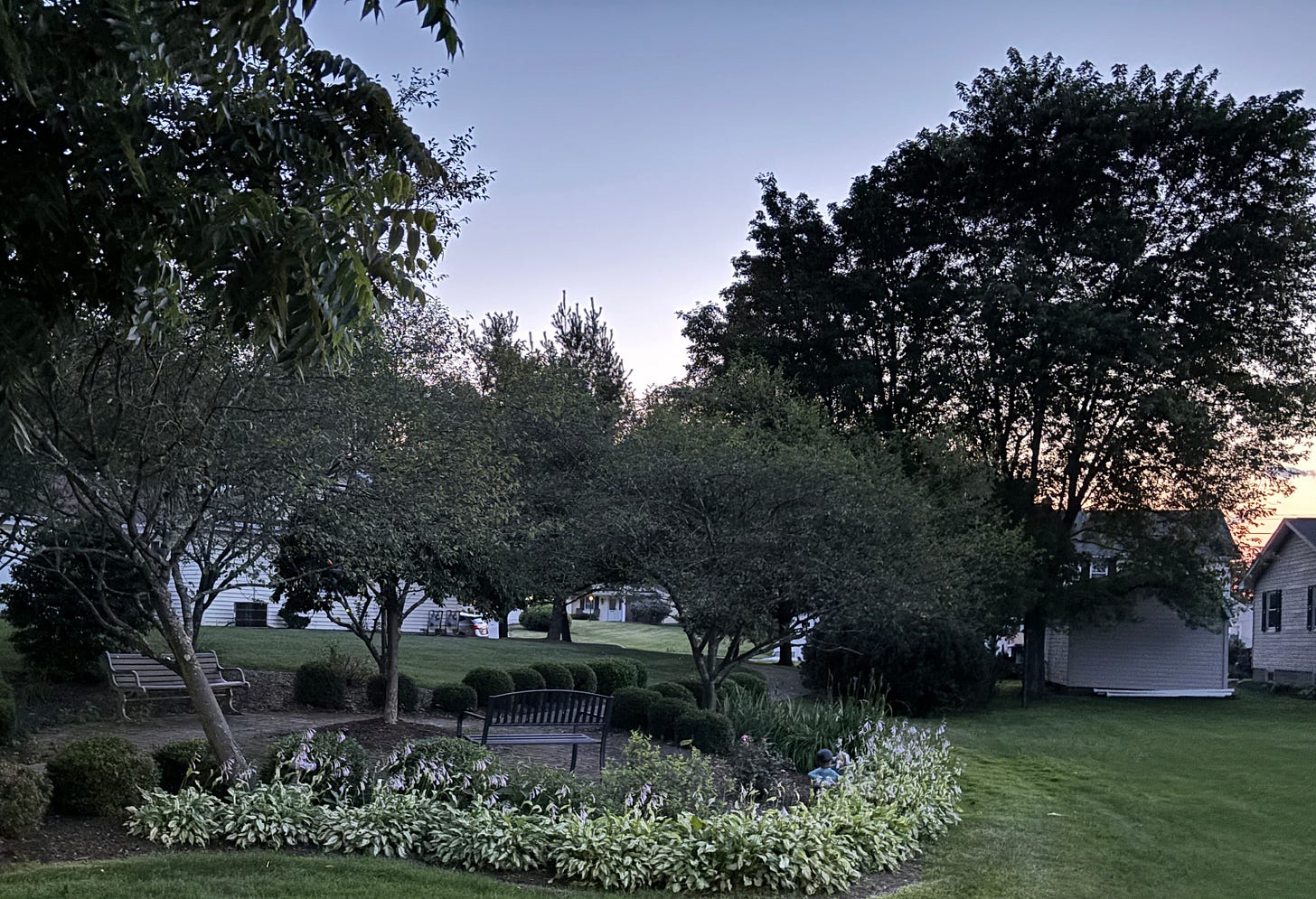 a small part with trees, sunsetting between houses a small part with trees, sunsetting between houses