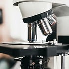 Beautifully Dead - Chapter 25