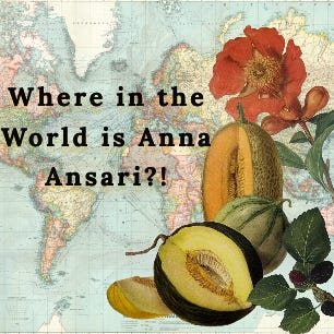 Where in the World is Anna Ansari?! 