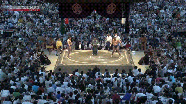 Sumo Stomp! | Tim Bissell | Substack