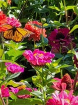 7 Keys to the Kingdom of God: Key #6: Submission and Respect 7 Keys to the Kingdom of God: Key #6: Submission and Respect