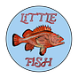 Little Fish's avatar