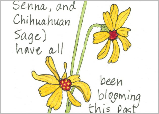 Fall Foliage and Spring Wildflowers—in Winter?!