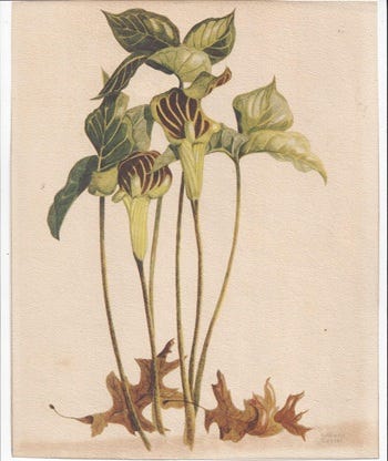 Show 312: Columbine and Jack in The pulpit