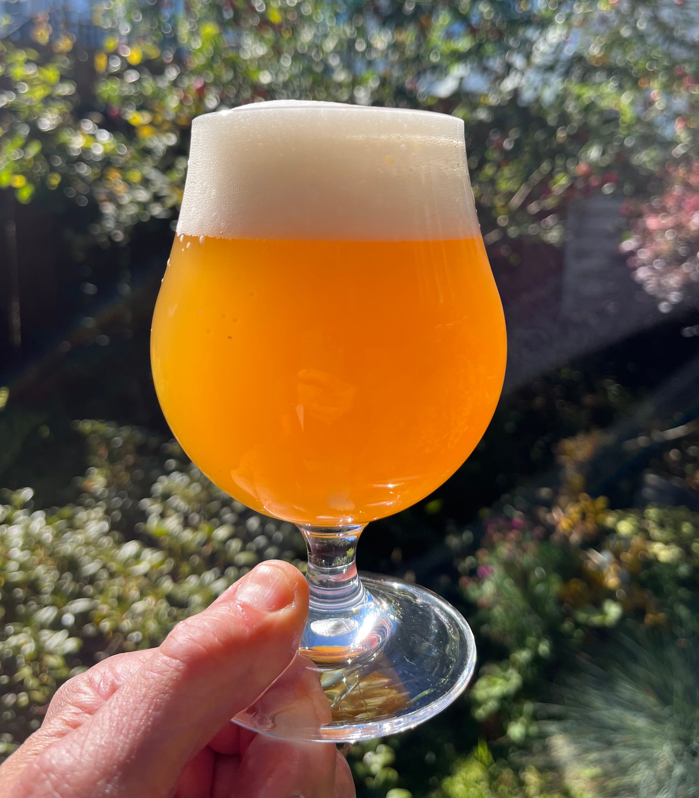amber hahn grey dress Beer Newsletter for Saturday, 25 July 2026 DecemberSitewide