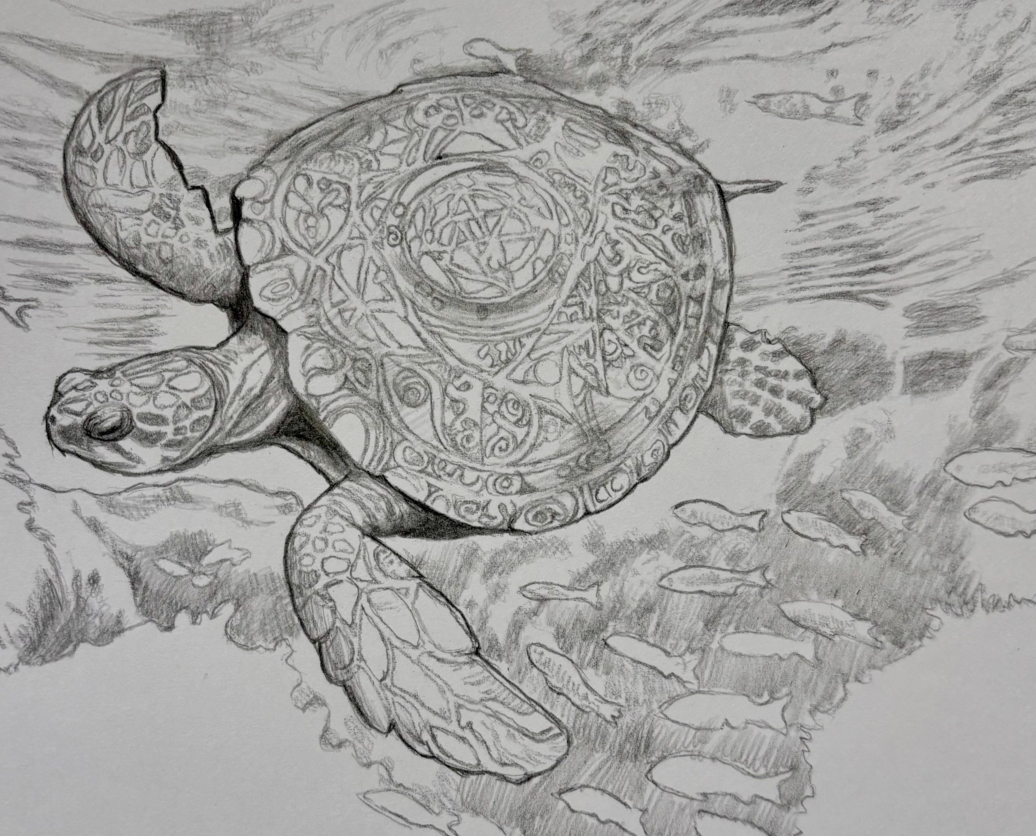 Shellbacks Draw Lore Segment: Shellback Turtles — Field Notes of Dr. Liora Venn ...