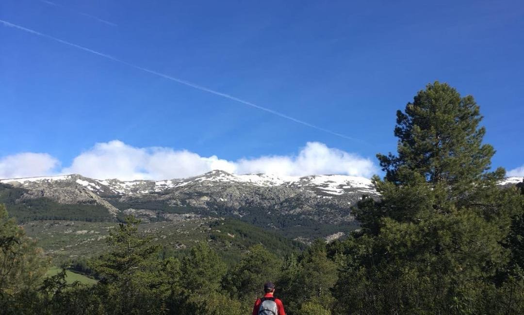 No te necesito pero te quiero