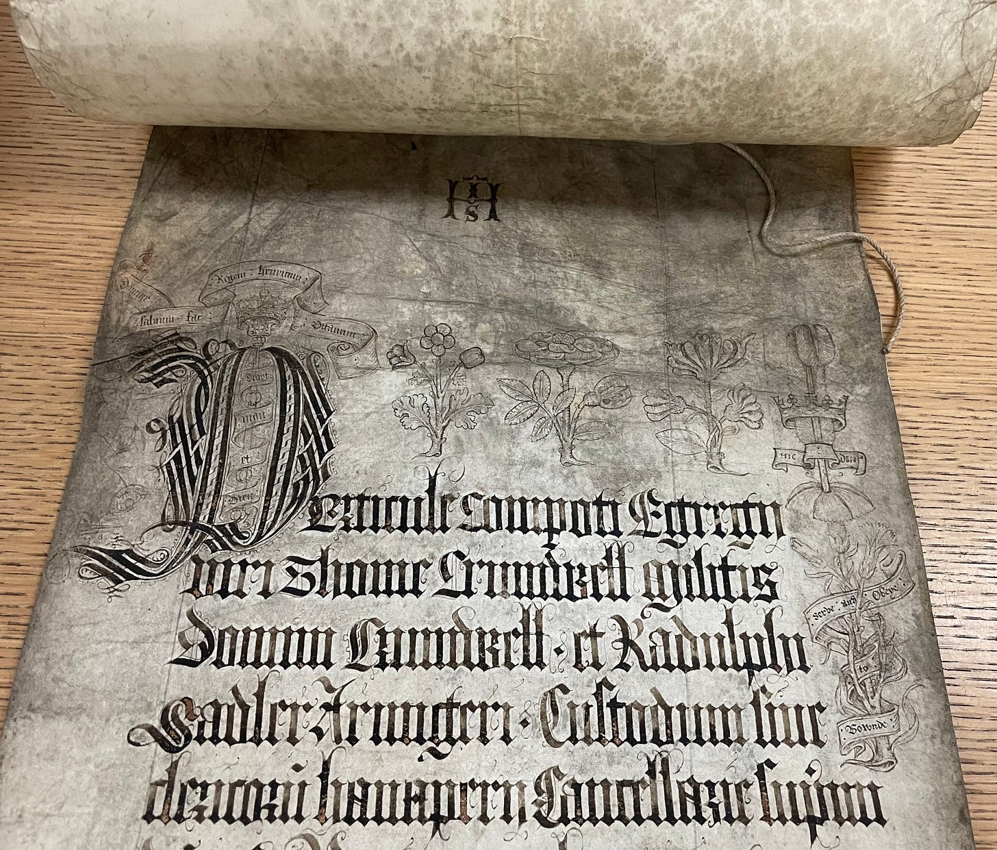 A 16th century vellum roll, written in Latin, with decorative flowers and symbols drawn in silverpoint at the top of the page. A 16th century vellum roll, written in Latin, with decorative flowers and symbols drawn in silverpoint at the top of the page.