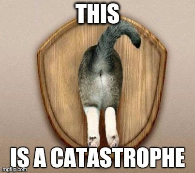 Nuclear fusion in a nutshell : r/funny