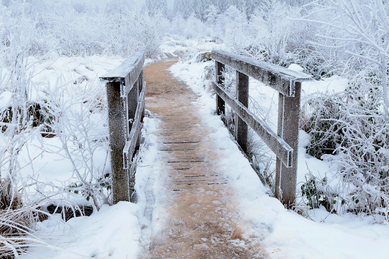 Free Bridge Winter photo and picture
