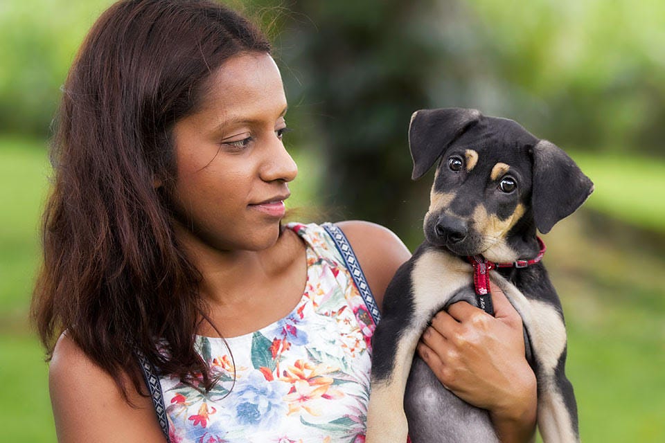 Causes for Animals Singapore